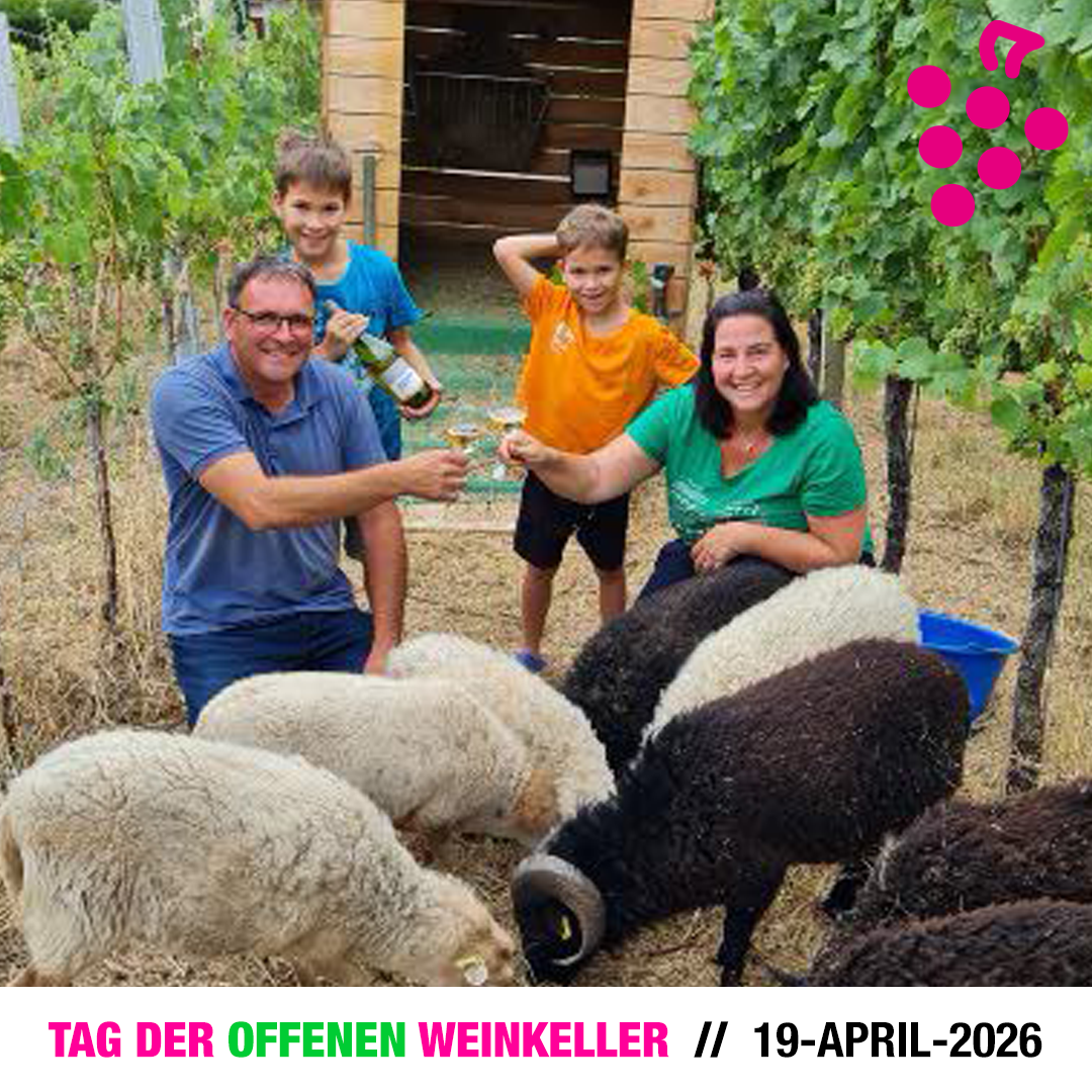 4 Schafe-Markus Graf